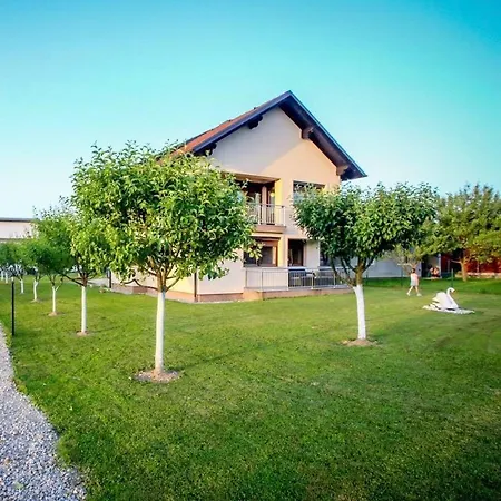 Villa Din Vila *